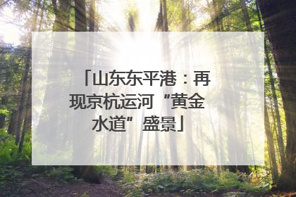 山东东平港：再现京杭运河“黄金水道”盛景