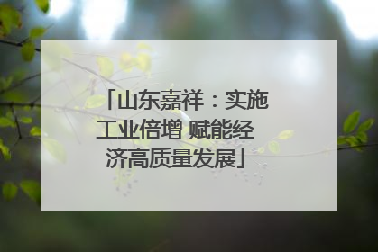 山东嘉祥：实施工业倍增 赋能经济高质量发展
