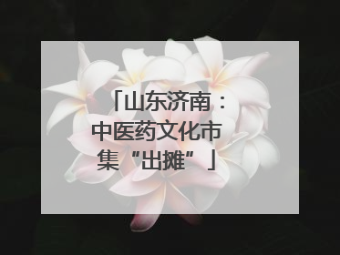 山东济南：中医药文化市集“出摊”
