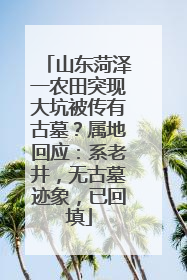 山东菏泽一农田突现大坑被传有古墓？属地回应：系老井，无古墓迹象，已回填