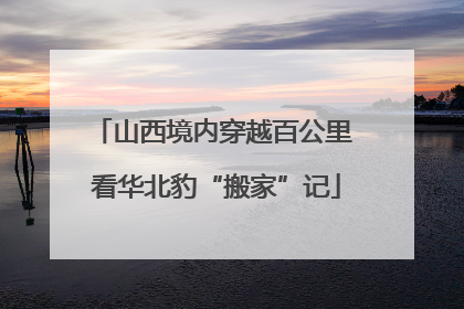 山西境内穿越百公里 看华北豹“搬家”记