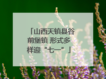 山西天镇县谷前堡镇 形式多样迎“七一”