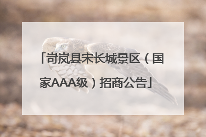 岢岚县宋长城景区（国家AAA级）招商公告