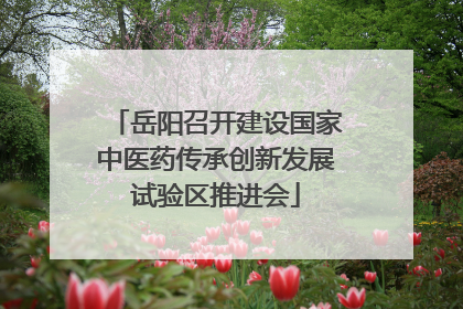 岳阳召开建设国家中医药传承创新发展试验区推进会
