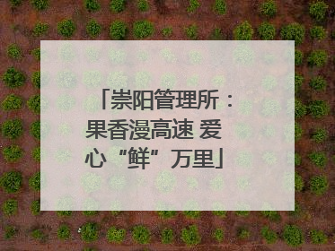 崇阳管理所：果香漫高速 爱心“鲜”万里