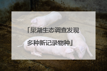 巢湖生态调查发现多种新记录物种