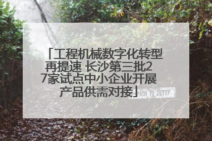 工程机械数字化转型再提速 长沙第三批27家试点中小企业开展产品供需对接