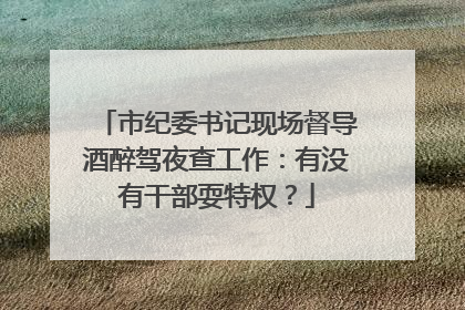 市纪委书记现场督导酒醉驾夜查工作：有没有干部耍特权？