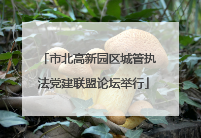 市北高新园区城管执法党建联盟论坛举行