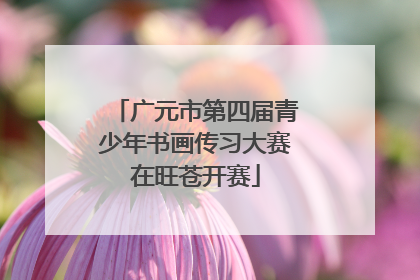 广元市第四届青少年书画传习大赛在旺苍开赛