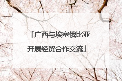 广西与埃塞俄比亚开展经贸合作交流