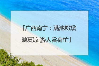 广西南宁：满池粉黛映夏凉 游人赏荷忙