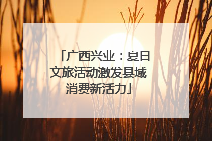 广西兴业：夏日文旅活动激发县域消费新活力