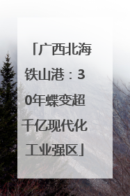 广西北海铁山港：30年蝶变超千亿现代化工业强区