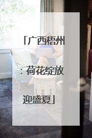 广西梧州：荷花绽放迎盛夏