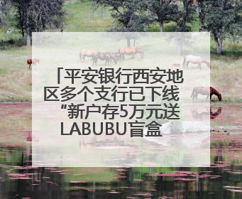 平安银行西安地区多个支行已下线“新户存5万元送LABUBU盲盒”活动
