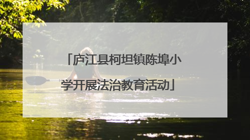 庐江县柯坦镇陈埠小学开展法治教育活动