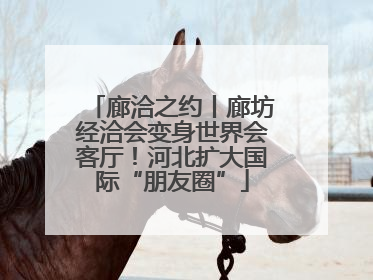 廊洽之约丨廊坊经洽会变身世界会客厅！河北扩大国际“朋友圈”