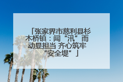 张家界市慈利县杉木桥镇：闻“汛”而动显担当 齐心筑牢“安全堤”