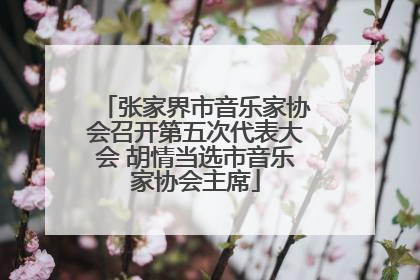 张家界市音乐家协会召开第五次代表大会 胡情当选市音乐家协会主席