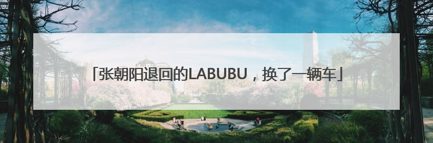 张朝阳退回的LABUBU，换了一辆车