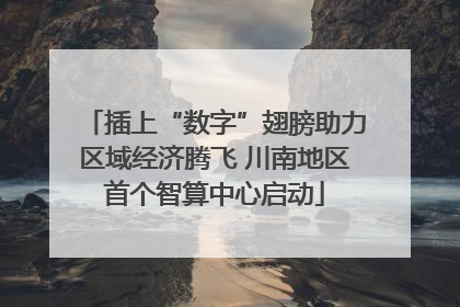 插上“数字”翅膀助力区域经济腾飞 川南地区首个智算中心启动