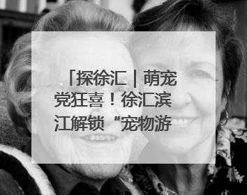 探徐汇｜萌宠党狂喜！徐汇滨江解锁“宠物游轮+天台乐园”双玩法