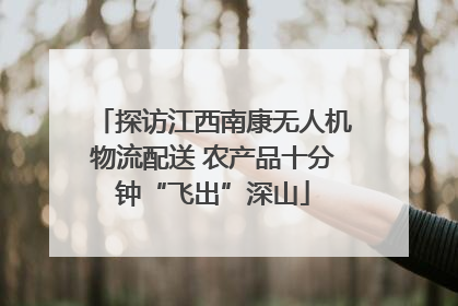 探访江西南康无人机物流配送 农产品十分钟“飞出”深山
