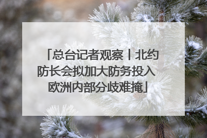 总台记者观察丨北约防长会拟加大防务投入 欧洲内部分歧难掩