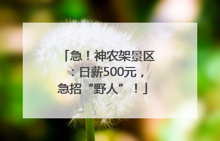 急！神农架景区：日薪500元，急招“野人”！