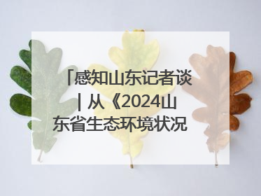 感知山东记者谈｜从《2024山东省生态环境状况公报》看美丽山东建设的“成绩单”与“任务书”