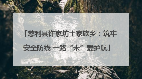慈利县许家坊土家族乡：筑牢安全防线 一路“未”爱护航