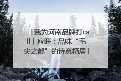 我为河南品牌打call丨应旺：品味“毛尖之都”的诗意栖居