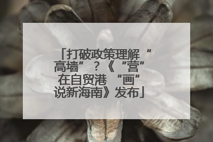 打破政策理解“高墙”？《“营”在自贸港 “画”说新海南》发布