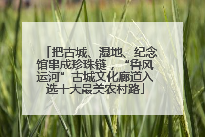 把古城、湿地、纪念馆串成珍珠链，“鲁风运河”古城文化廊道入选十大最美农村路