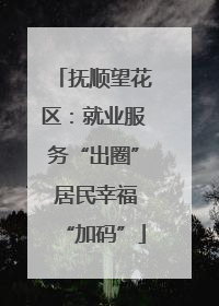 抚顺望花区：就业服务“出圈” 居民幸福“加码”