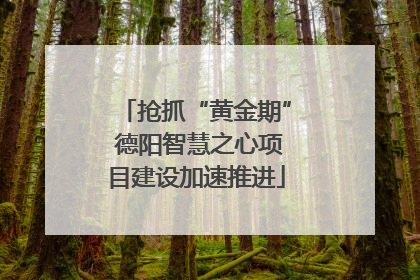 抢抓“黄金期” 德阳智慧之心项目建设加速推进