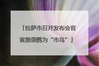 拉萨市召开发布会官宣黑颈鹤为“市鸟”
