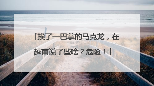 挨了一巴掌的马克龙，在越南说了些啥？危险！