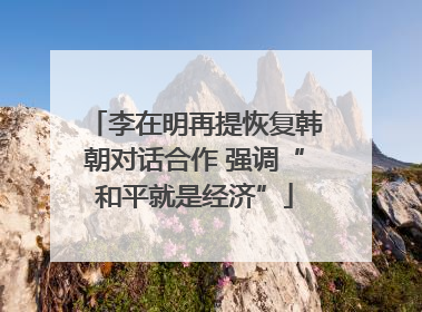 李在明再提恢复韩朝对话合作 强调“和平就是经济”