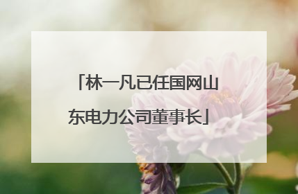 林一凡已任国网山东电力公司董事长