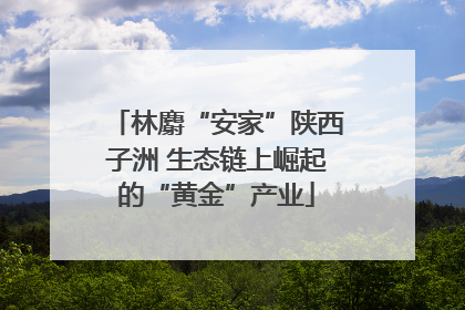 林麝“安家”陕西子洲 生态链上崛起的“黄金”产业