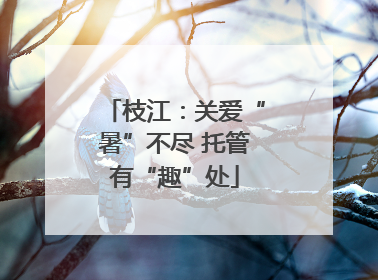 枝江：关爱“暑”不尽 托管有“趣”处
