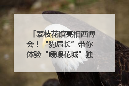 攀枝花馆亮相西博会！“豹局长”带你体验“暖暖花城”独特魅力｜西博视界