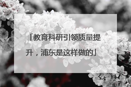 教育科研引领质量提升，浦东是这样做的