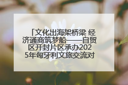 文化出海架桥梁 经济通商筑梦船——自贸区开封片区承办2025年匈牙利文旅交流对接活动专场