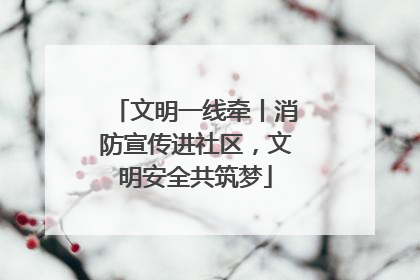 文明一线牵丨消防宣传进社区，文明安全共筑梦