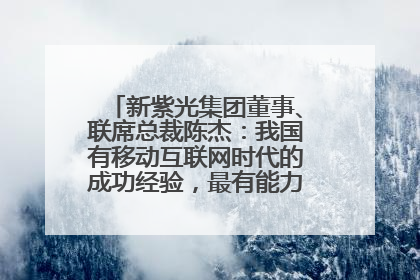 新紫光集团董事、联席总裁陈杰：我国有移动互联网时代的成功经验，最有能力做好AI应用创新