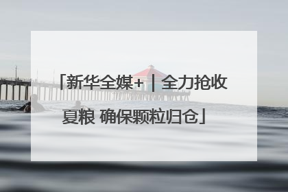 新华全媒+｜全力抢收夏粮 确保颗粒归仓