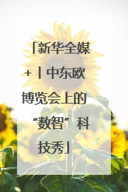 新华全媒+丨中东欧博览会上的“数智”科技秀